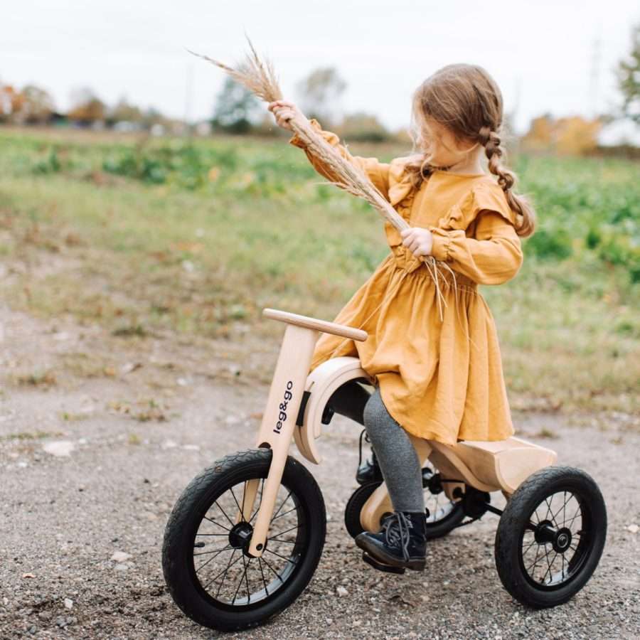 tricycle-add-on-for-the-leggo-balance-bike-3in1-8548caa6.jpg Trīsriteņa papildaprīkojums leg&go līdzsvara ritenim 3in1