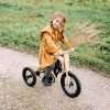 tricycle-add-on-for-the-leggo-balance-bike-3in1-cf1c9cc3.jpg Trīsriteņa papildaprīkojums leg&go līdzsvara ritenim 3in1